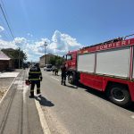 [Video] O nouă gafă marca Primaria Ocna Șugatag: Câine căzut în unul din canalele de apă pluvială despre care se știa că nu sunt acoperite.